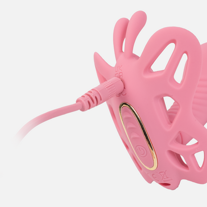 On the Fly (Butterfly Effect)